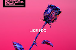 Phanbus217.Blogspot.Com [Single] David Guetta – Like I Do (Ft Martin Garrix & Brooks) (Mp3-320Kbps)