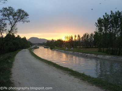 Walking Track