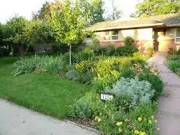 Creative Your Dream Outdoor Space: Essential Landscape Design Elements