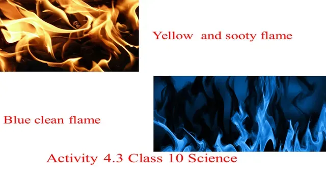 NCERT Activity 4.3 Class 10 Science Explanation with conclusion