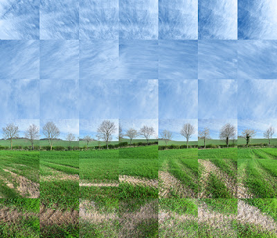 Spring Trees, Farley Mount, 2011 © Graham Dew