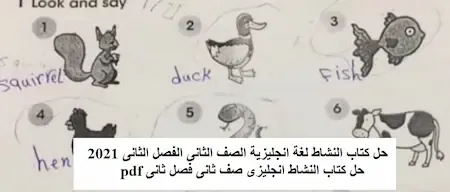 حل كتاب النشاط لغة انجليزية الصف الثانى الفصل الثانى 2021- حل كتاب النشاط انجليزى صف ثانى فصل ثانى pdf