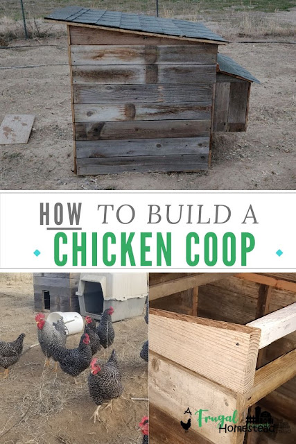 How to build a chicken coop out of pallets and old fence slats to make an easy chicken coop.