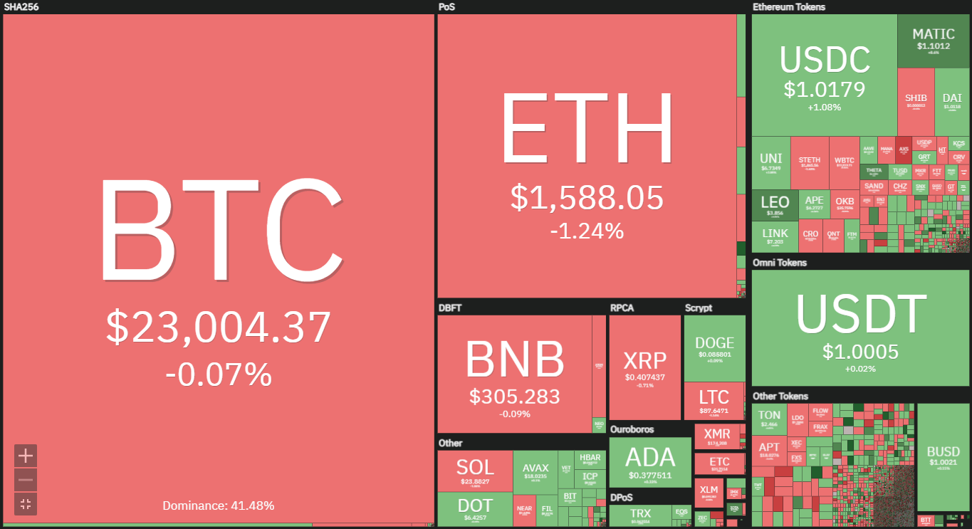 bitcoin-hoy