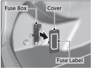 Rear Fuse Box