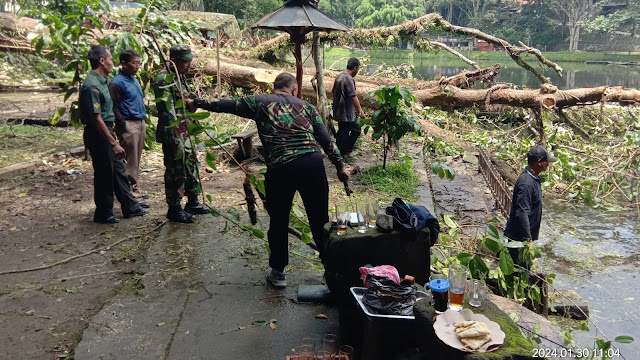 Pohon Tertua di Umbul Senjoyo Ambruk, Dievakuasi 9 Hari Pasca Kejadian Karena Angker