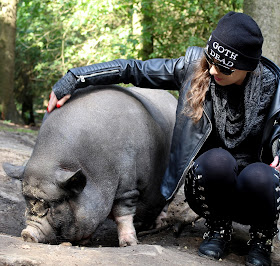 ganz viel Schweineliebe