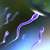 Ada Sperma Buatan Dari Inggris