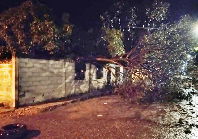 FUERTE TORMENTA HIZO ESTRAGOS EN CARORA