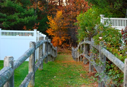 2. pathway in-kab