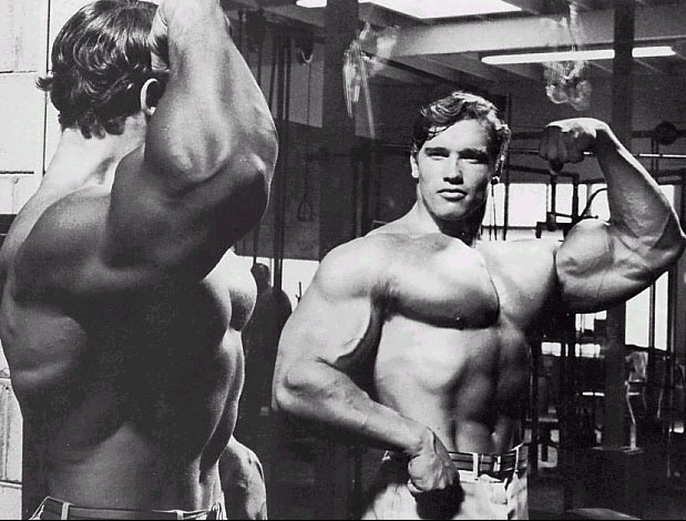 arnold schwarzenegger photos. arnold schwarzenegger photos