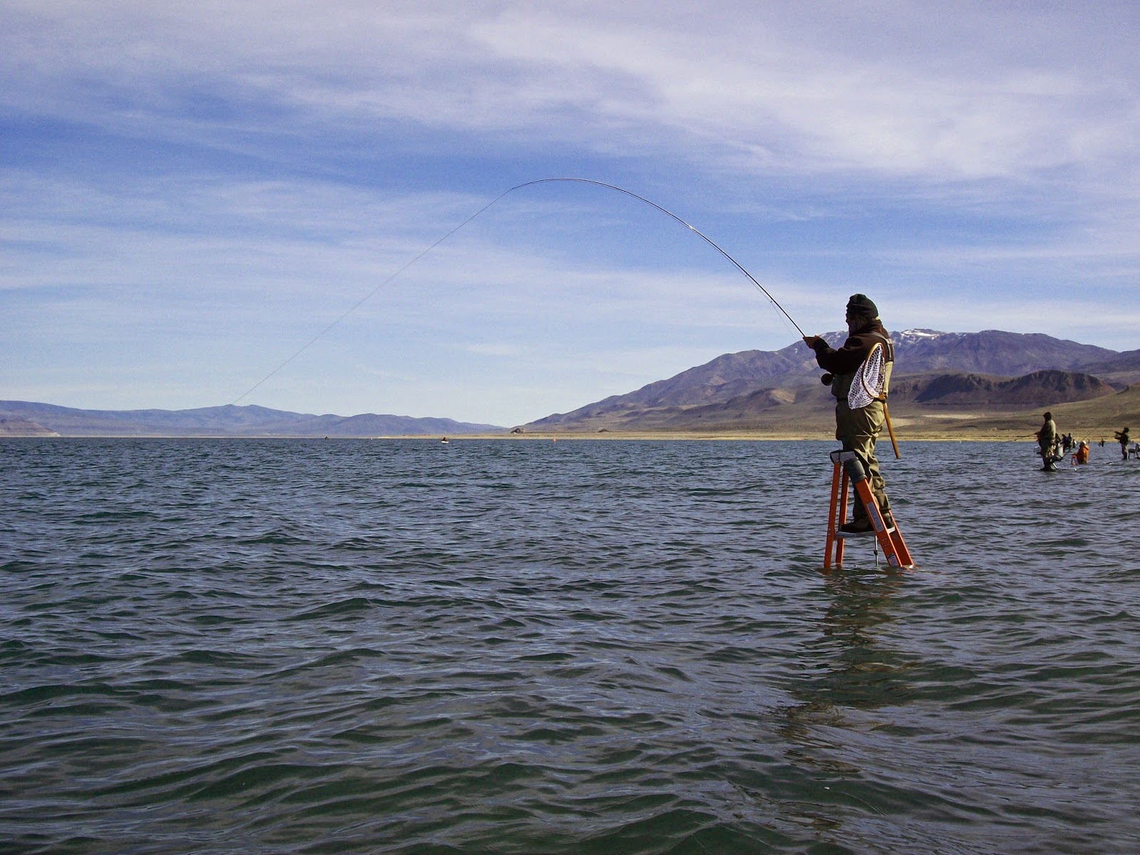Jon Baiocchi Fly Fishing News: Spring Madness at Pyramid Lake