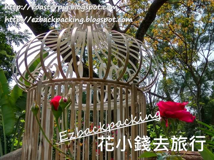 香港花展21 日本紫藤下的灣仔庭園 花小錢去旅行