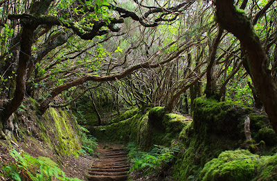 mysterious road