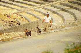 3 dogs, Okinawan man, beach