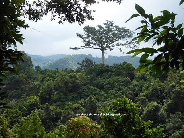 [http://FindWisata.blogspot.com] Mengeksplor Keindahan Air Terjun Jeruk Manis Lombok