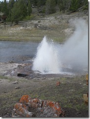 yellowstone ours 41