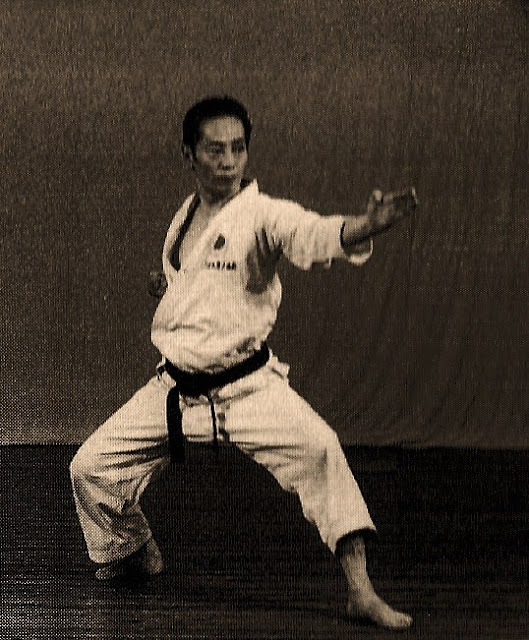 Andr  Bertel s Karate  Do The Most Important Shotokan Kata