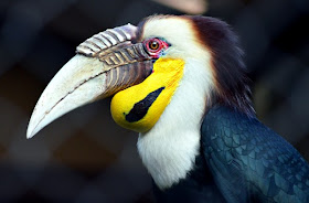 "Party With the Past", #AHCParty, Zoo Atlanta