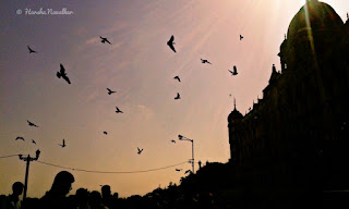What is Silhouette Photography | stunning examples of silhouette 