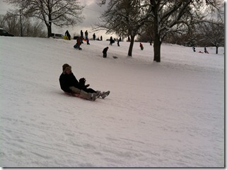 sledding