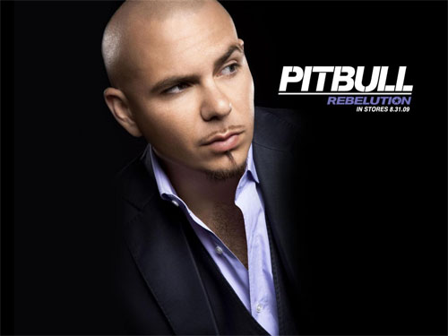 musica gratis el pitbull