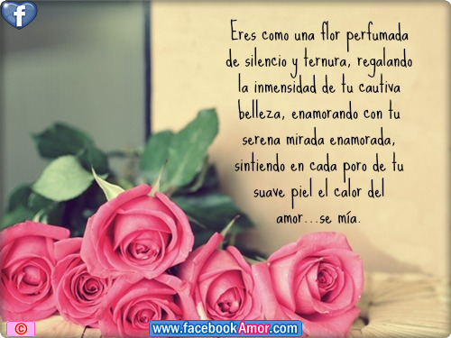 Imagenes De Ramos De Rosas Con Frases De Amistad - Las Flores Hablaran Por Mi Mensaje De Amistad YouTube