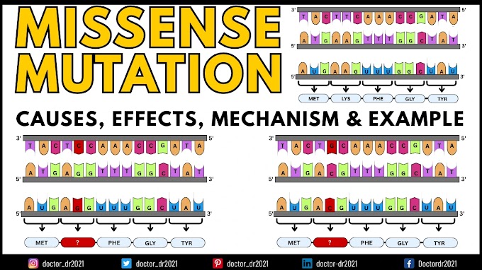 Missense Mutation: Definition, Causes, Mechanism, Types, Applications, and Example
