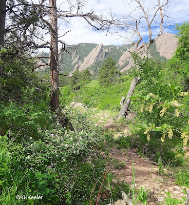 view of the Flatirons, Boulder, CO