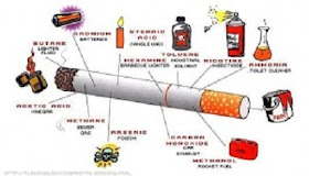  Bahan  bahan  kandungan dari rokok  berbagaireviews com