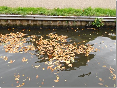 3 leaves