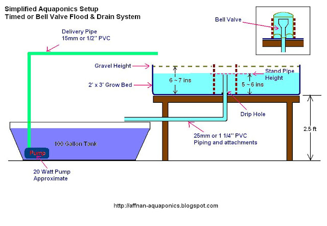 Affnan's Aquaponics: Setting Up A Simple Aquaponics System