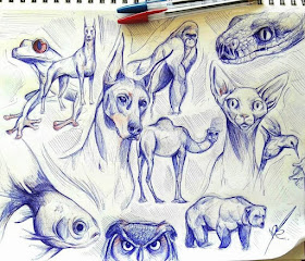 02-Animal-drawing-study-www-designstack-co