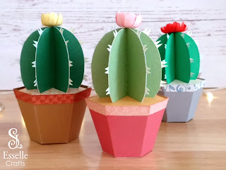 Cactus Favour Boxes by Esselle Crafts