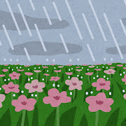 雨が降るお花畑のイラスト（背景素材）