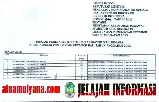 Penetapan Rincian Formasi Kebutuhan ASN PPPK Provinsi Bali Tahun 2023 pdf