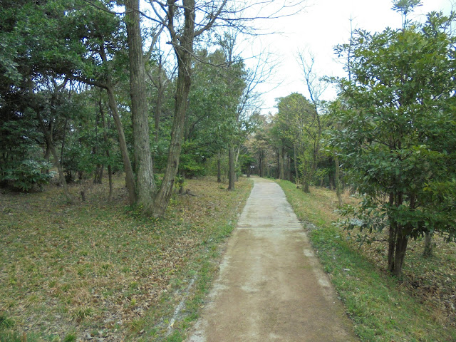 弥生の森の遊歩道