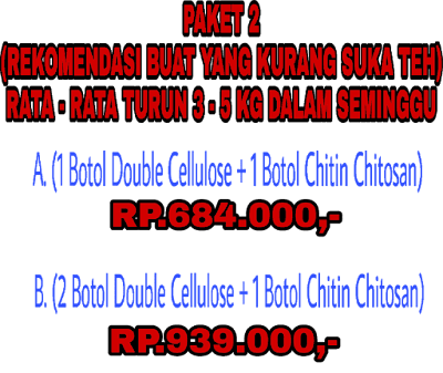 harga paketan teh pelangsing tubuh tiens 2