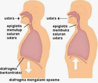 JASA SULAP DISURABAYA, JASA PESULAP DISURABAYA, JASA MAGICIAN DISURABAYA, SULAP DISURABAYA, PESULAP DISURABAYA, MAGICIAN DISURABAYA, JASA HYPNOTIS DISURABAYA, PRIVAT HYPNOTIS SURABAYA, PRIVAT SULAP SURABAYA, JASA BADUT SURABAYA, JASA DEKORASI BALON SURABAYA, STREET MAGIC SURABAYA,