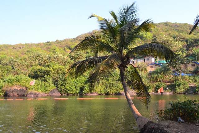 Sweet Water Lake Arambol - Sweet Water Lake Arambol-8