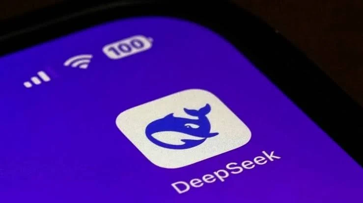 DeepSeek