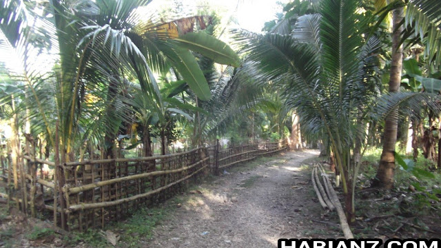7 Permasalahan Krusial di Dusun Pa'battean Mengemuka, Jelang Penyusunan  RAPBD Tahun 2015