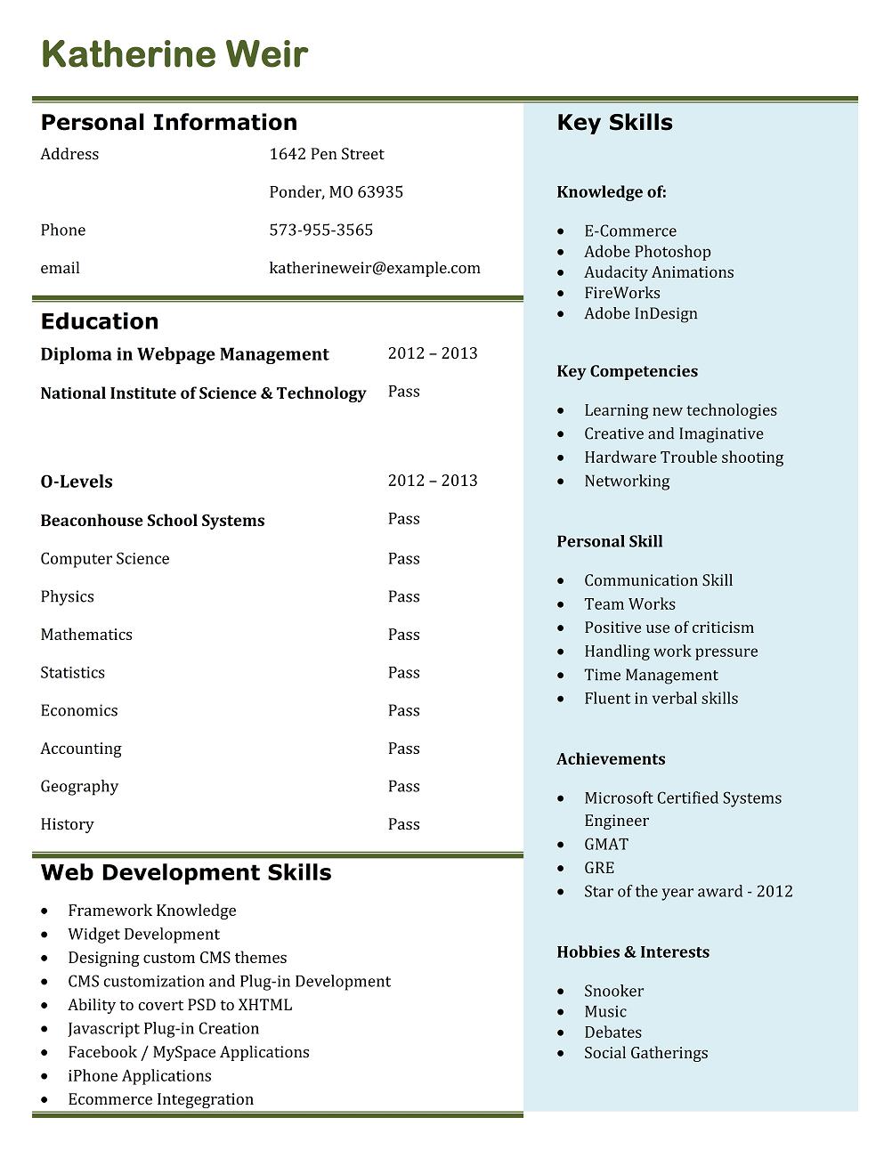 9 best free resume templates download for freshers  Best Professional Resume Templates