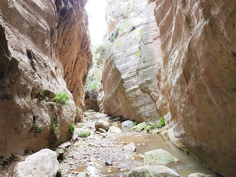 Dans les gorges d'Avakas