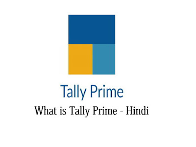 Tally Prime 4.0 Hindi Chapter 1# Accounting terminology