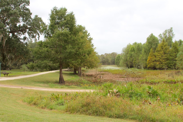 Elm Lake Trail-Brazos Bend State Park-Needville, Texas