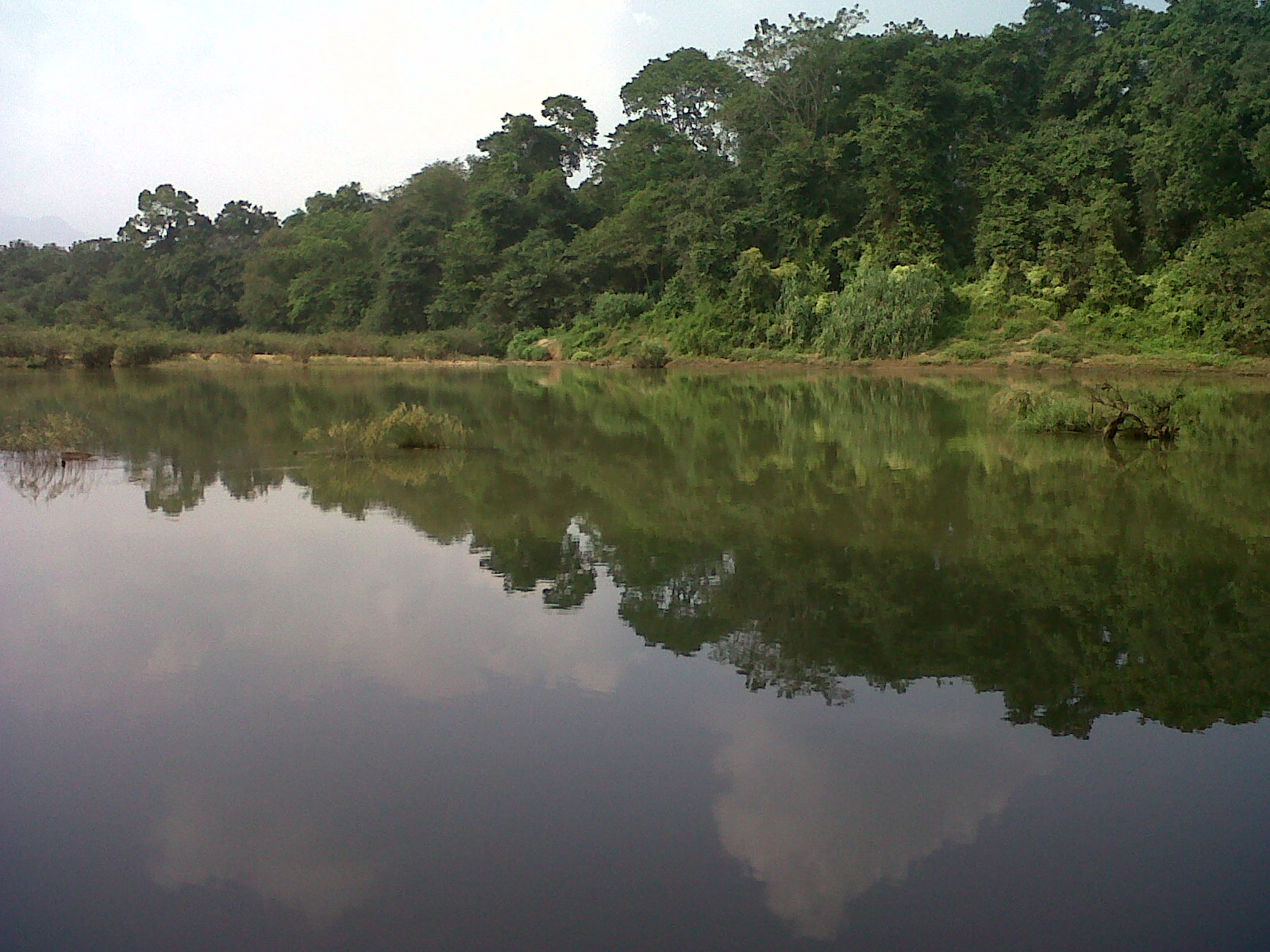 nilambur landscape March 2012