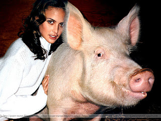 josie maran, model, actress, swine, playing with pig, josie maran 100 percent pure argan oil