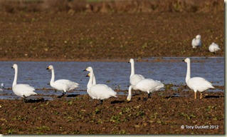 DSC_7790 DSC_7790