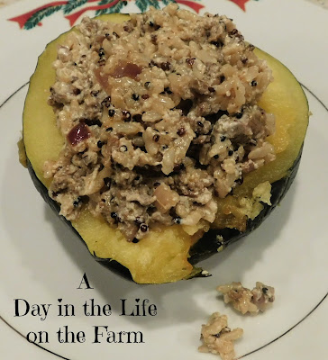 Stuffed Acorn Squash